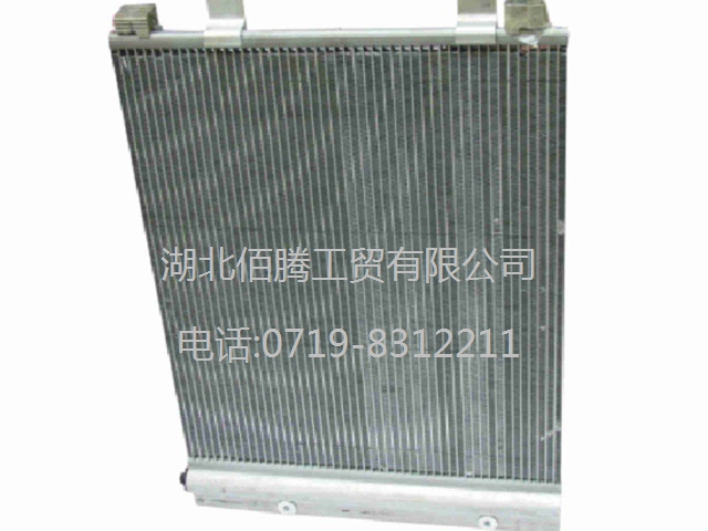 8105010-C0100