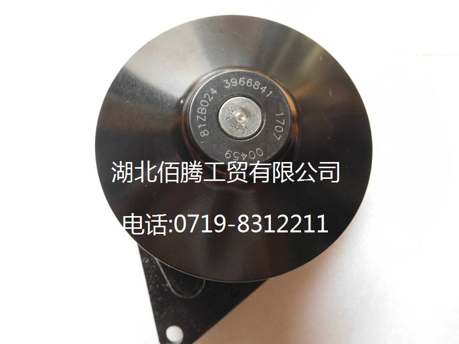 3966841.