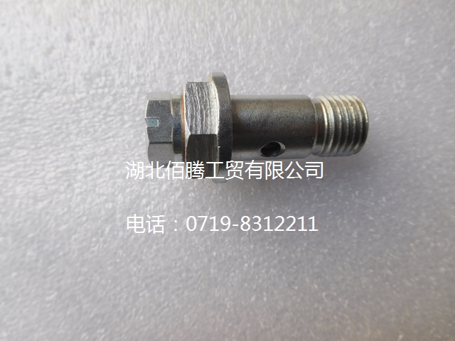 发动机燃油泵溢流阀 05B89-06-1.jpg