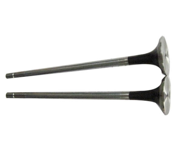 C10BF11-07011 C10BF11 12 -07011 EQ4H intake valve.jpg