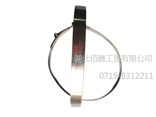 康明斯K38发动机卡箍3175623 (3).jpg