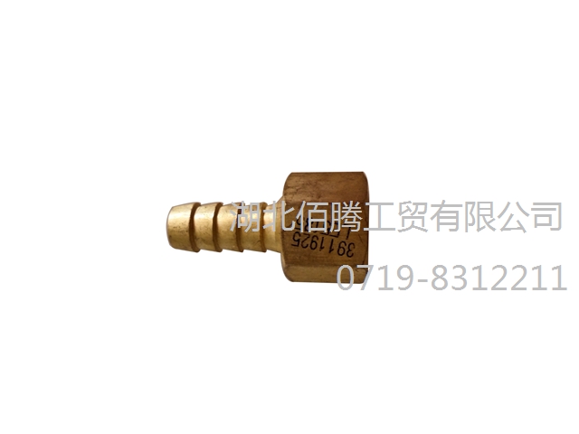 康明斯C L系列直软管接头3911925副本.jpg