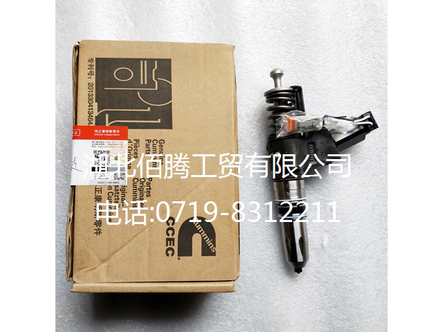 康明斯QSN系列喷油器4307516