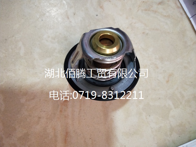  康明斯ISDE节温器5256423