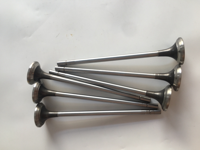 发动机排气门 4101454 (4).jpg