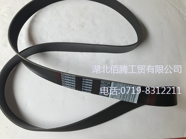 3106099 12PK2878。