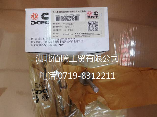 康明斯L系列排3969637 4089762