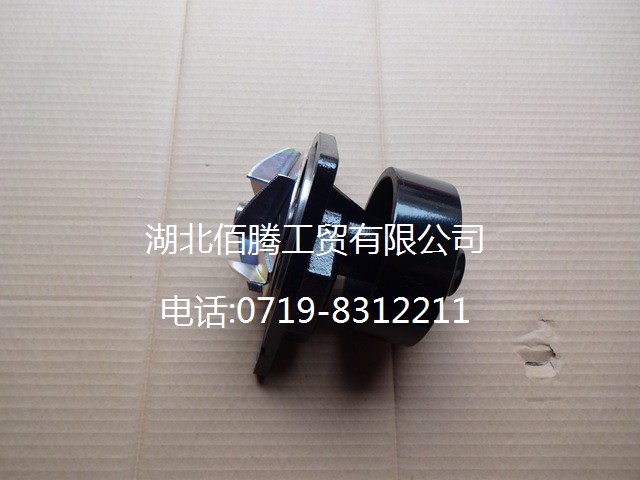 康明斯L ISLE水泵4934058 3973114 1307L-010