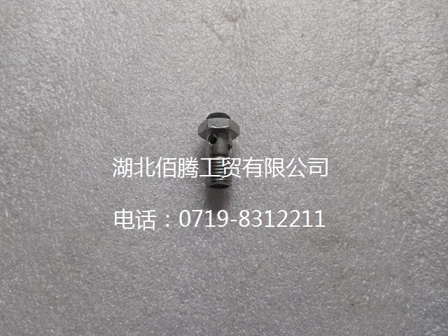 3905860 发动机琶形接头螺栓