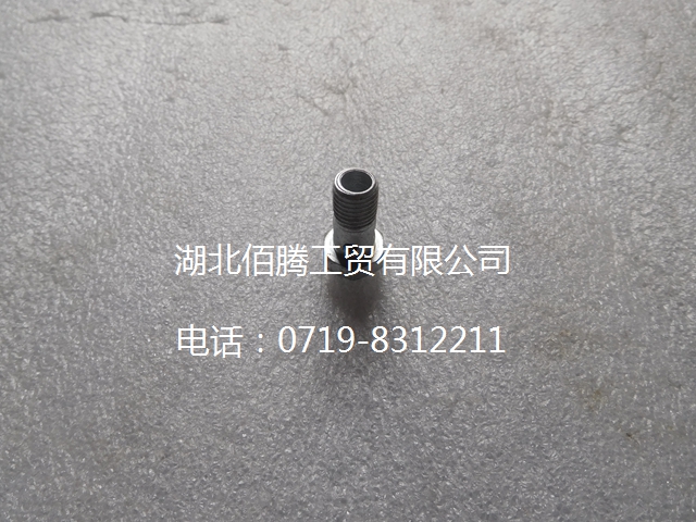 3905860 发动机琶形接头螺栓-2.jpg