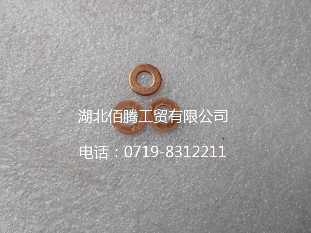 3906659 密封垫片-2.jpg