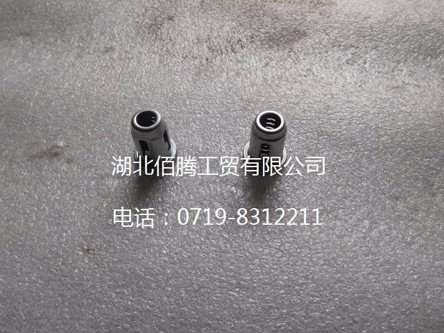 3912886 油泵检查阀