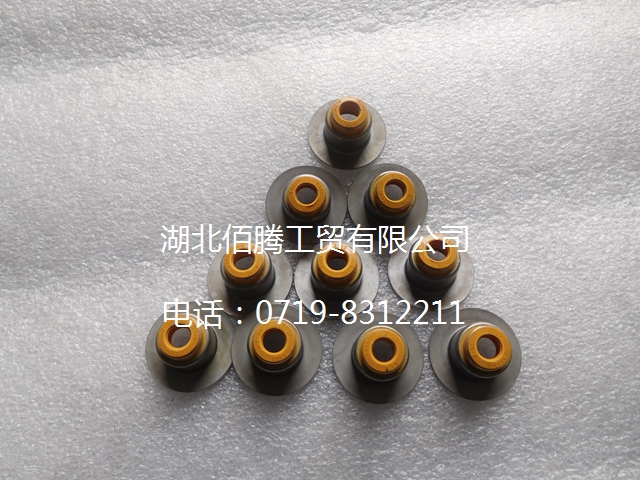3955393 气阀油封