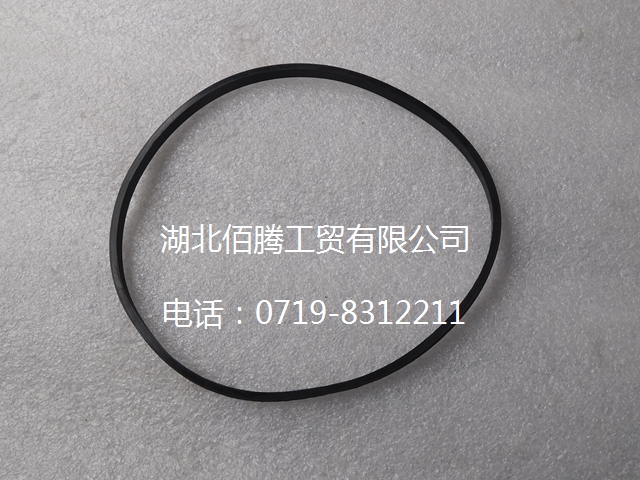 A3912473 C3912473 矩形密封圈