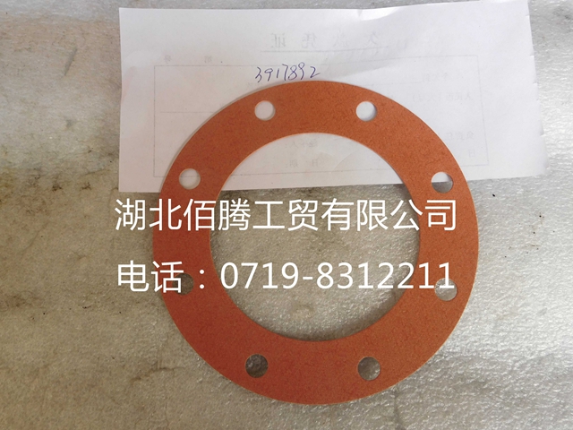 C3917892  发动机油泵垫 密封垫