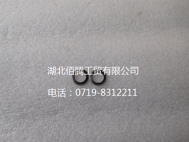 C3963983 密封垫圈