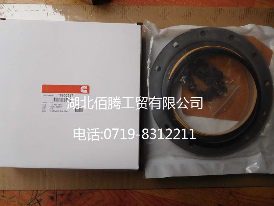 M11曲轴后油封3800969