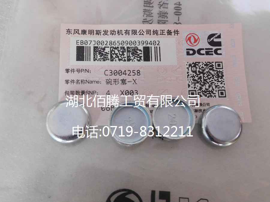 发动机系列碗形塞3004258