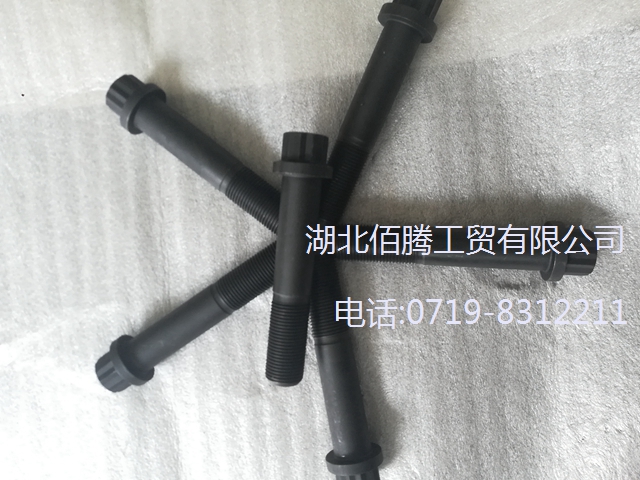 重康CCEC工程机械船舶发电机组发动机配件十二角螺栓206881 (1).jpg