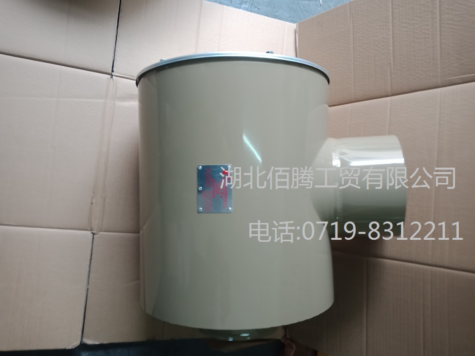 K19发动机空滤总成3017002
