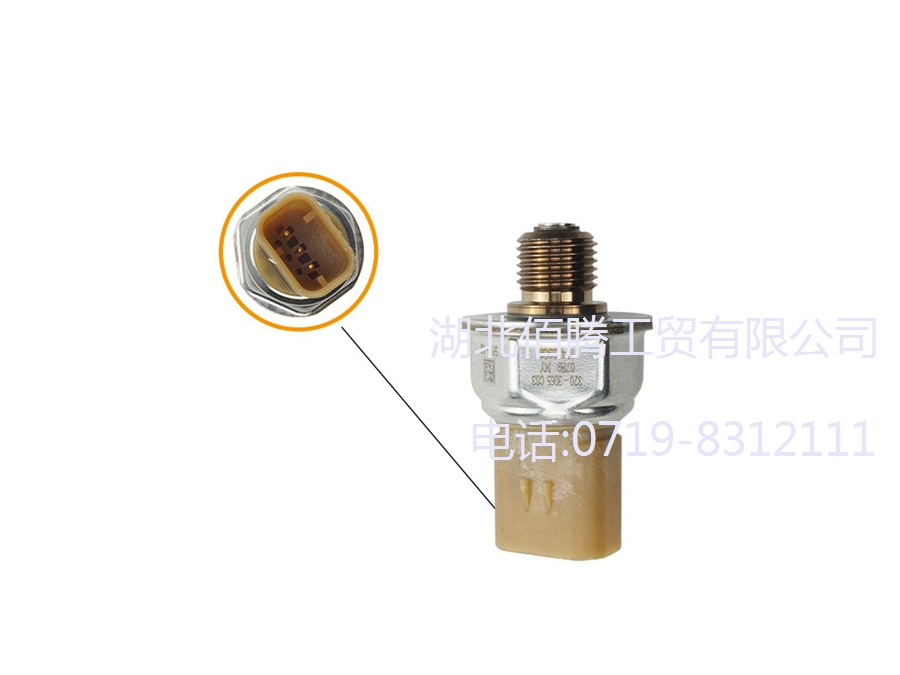 320-3065高压共轨压力阀挖掘机燃油压力调节阀感应塞 (1).jpg