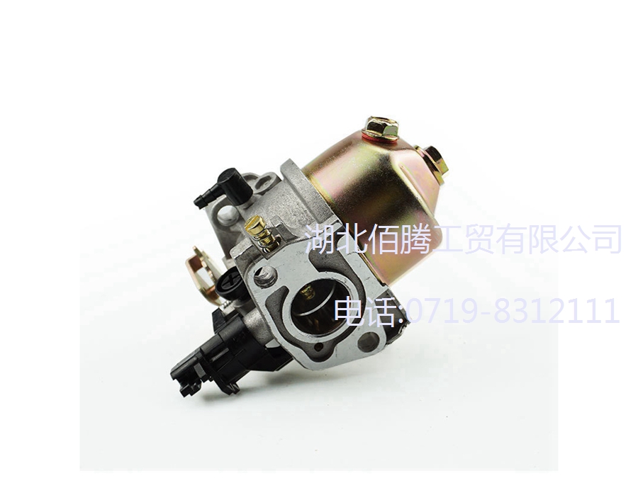 扫雪机化油器P19-009 适用于951-10974 (2).jpg