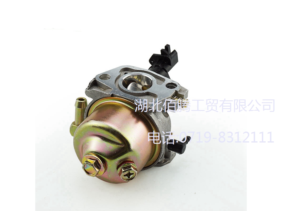 扫雪机化油器P19-009 适用于951-10974 (3).jpg