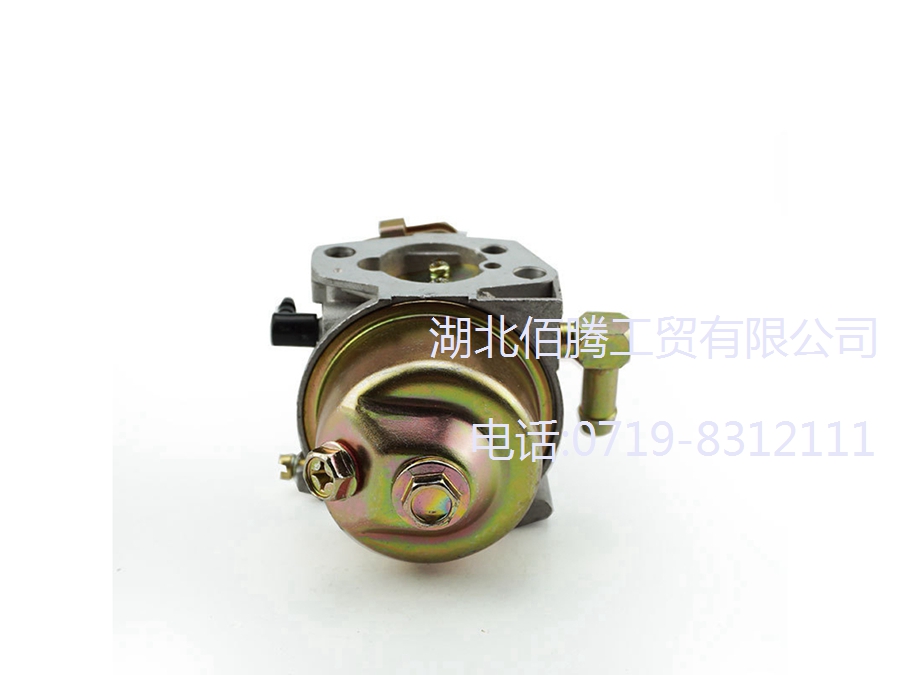 扫雪机化油器P19-009 适用于951-10974 (5).jpg