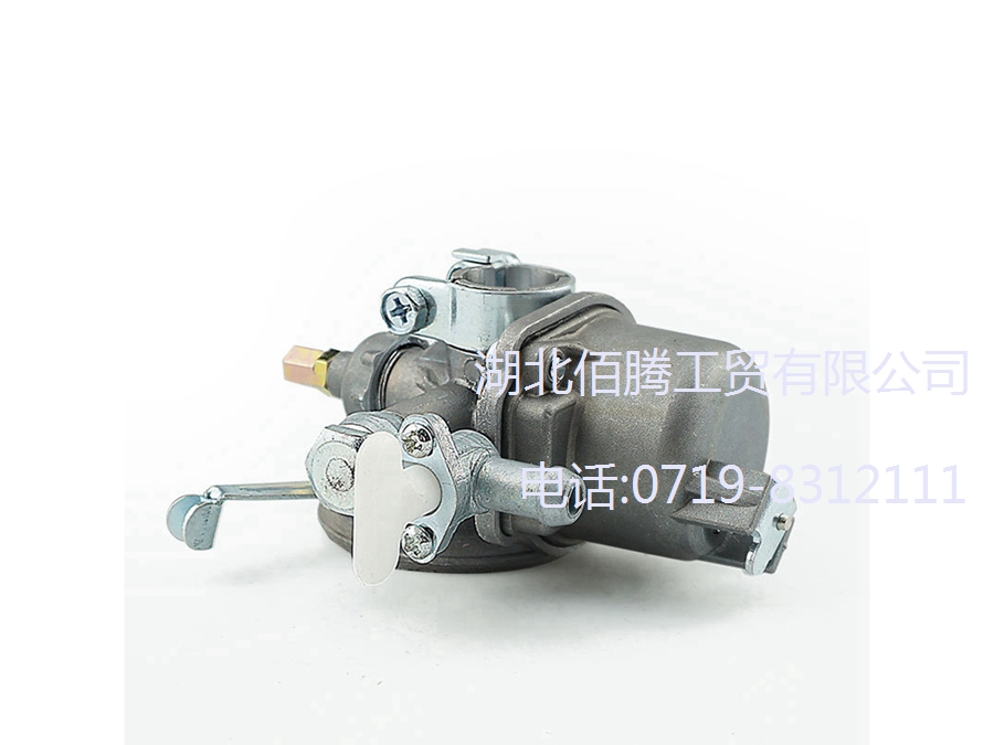 割草机化油器P211-003适用于CG328 (3).jpg