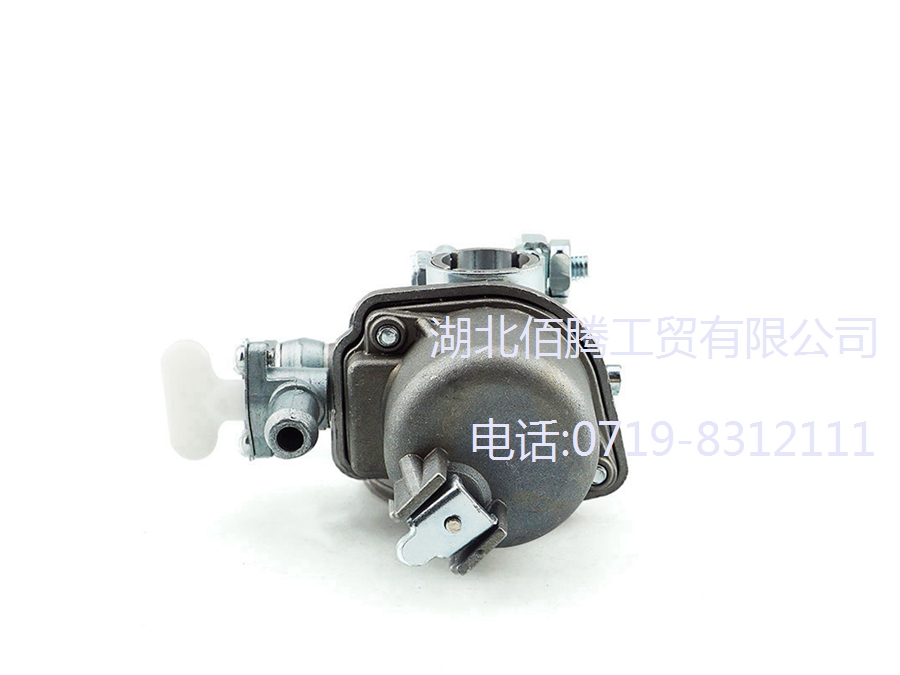 割草机化油器P211-003适用于CG328 (5).jpg