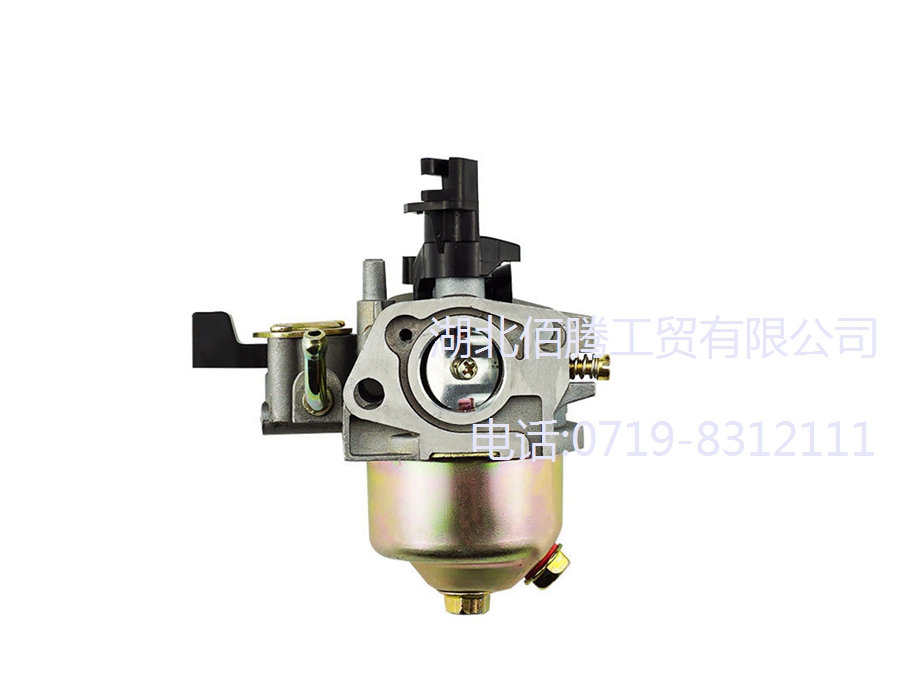 P19-001水泵_微耕机化油器适用于168F_170F带过滤沉淀杯带开关 (2).jpg