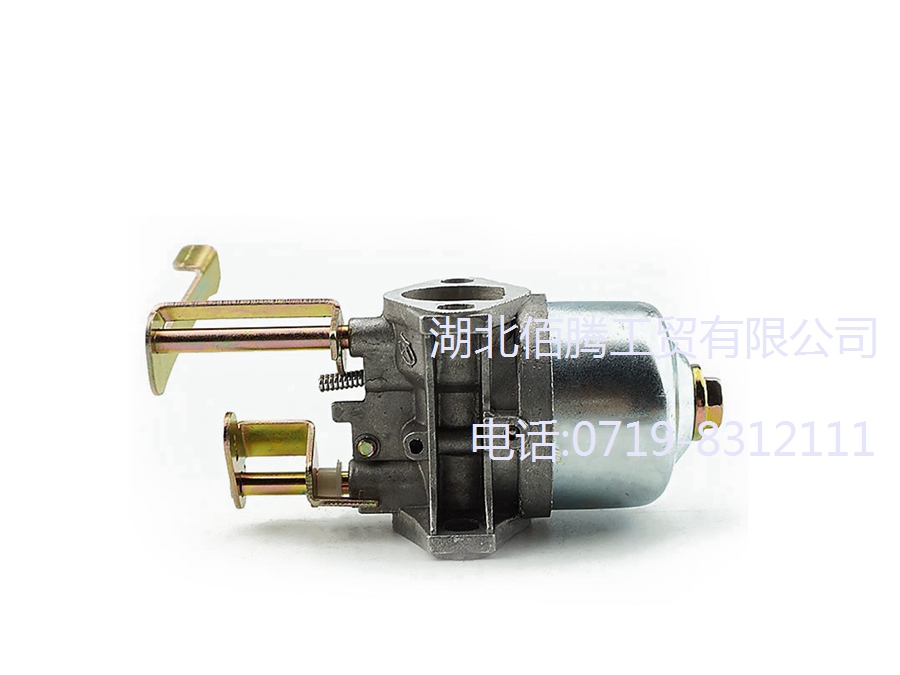 P15-002 适用于152F_154F 发电机化油器 (2).jpg