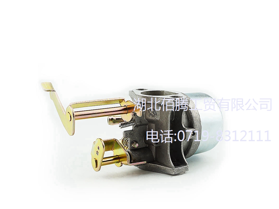 P15-002 适用于152F_154F 发电机化油器 (4).jpg